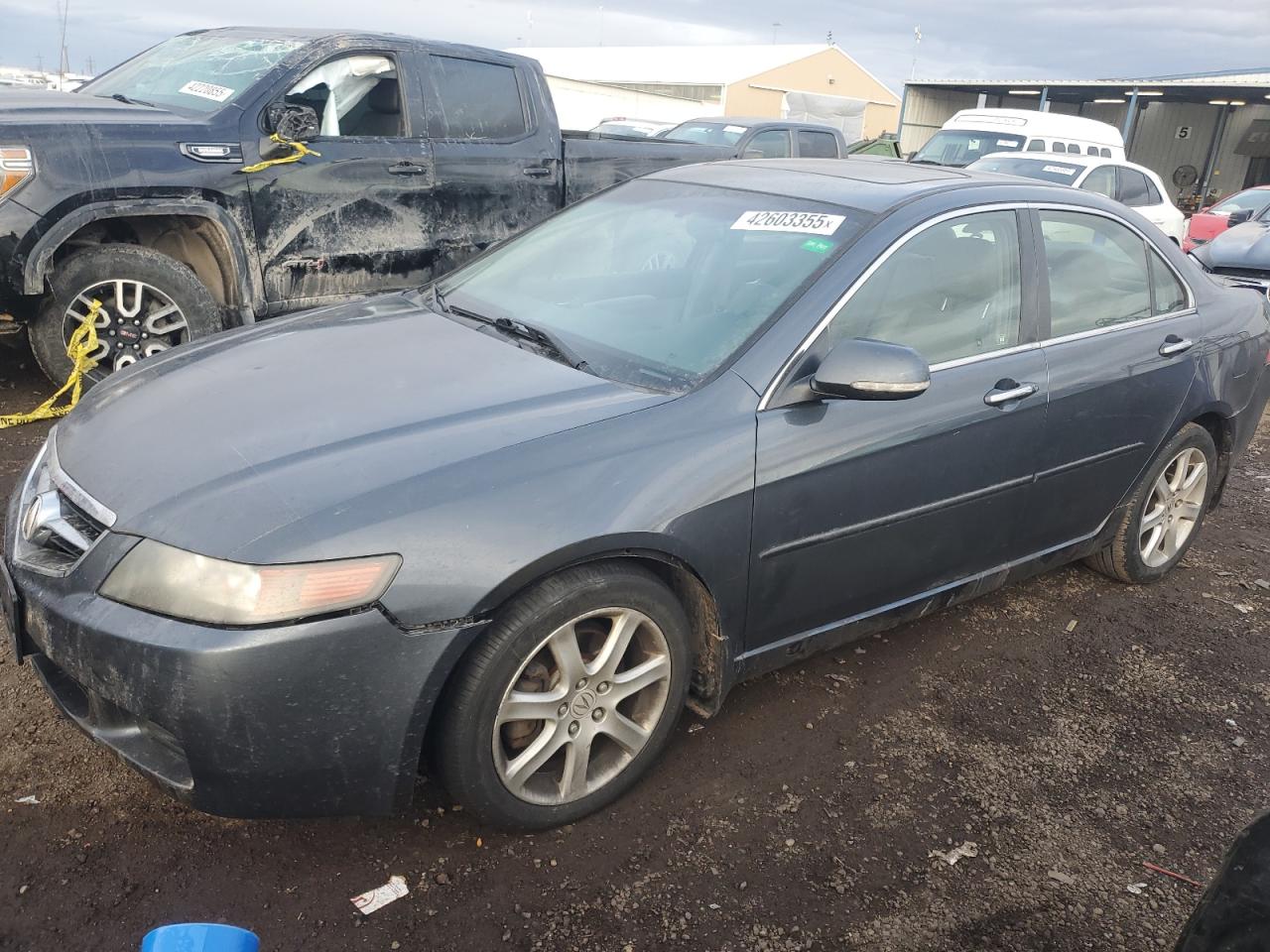 ACURA TSX 2005