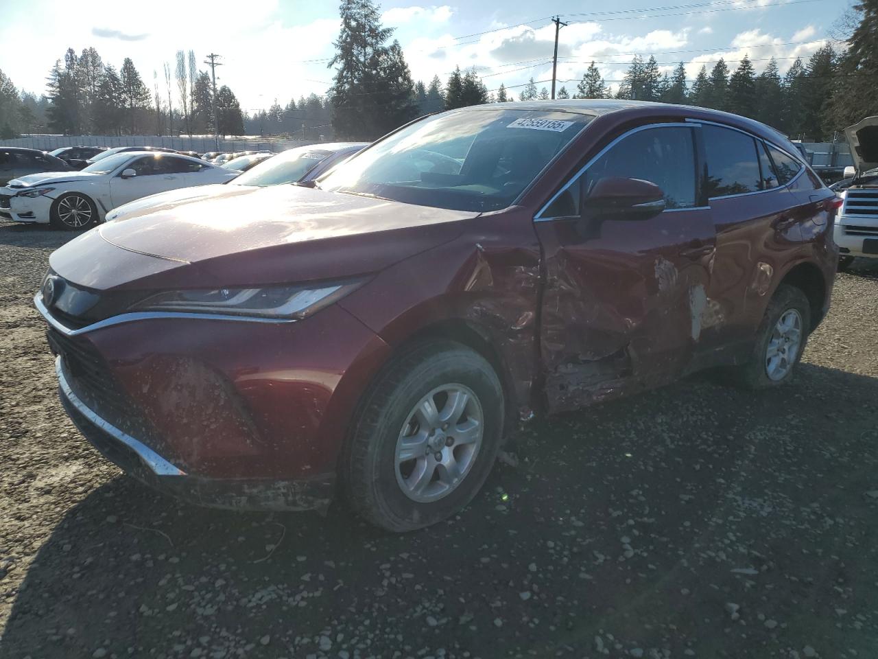 TOYOTA VENZA LE 2023