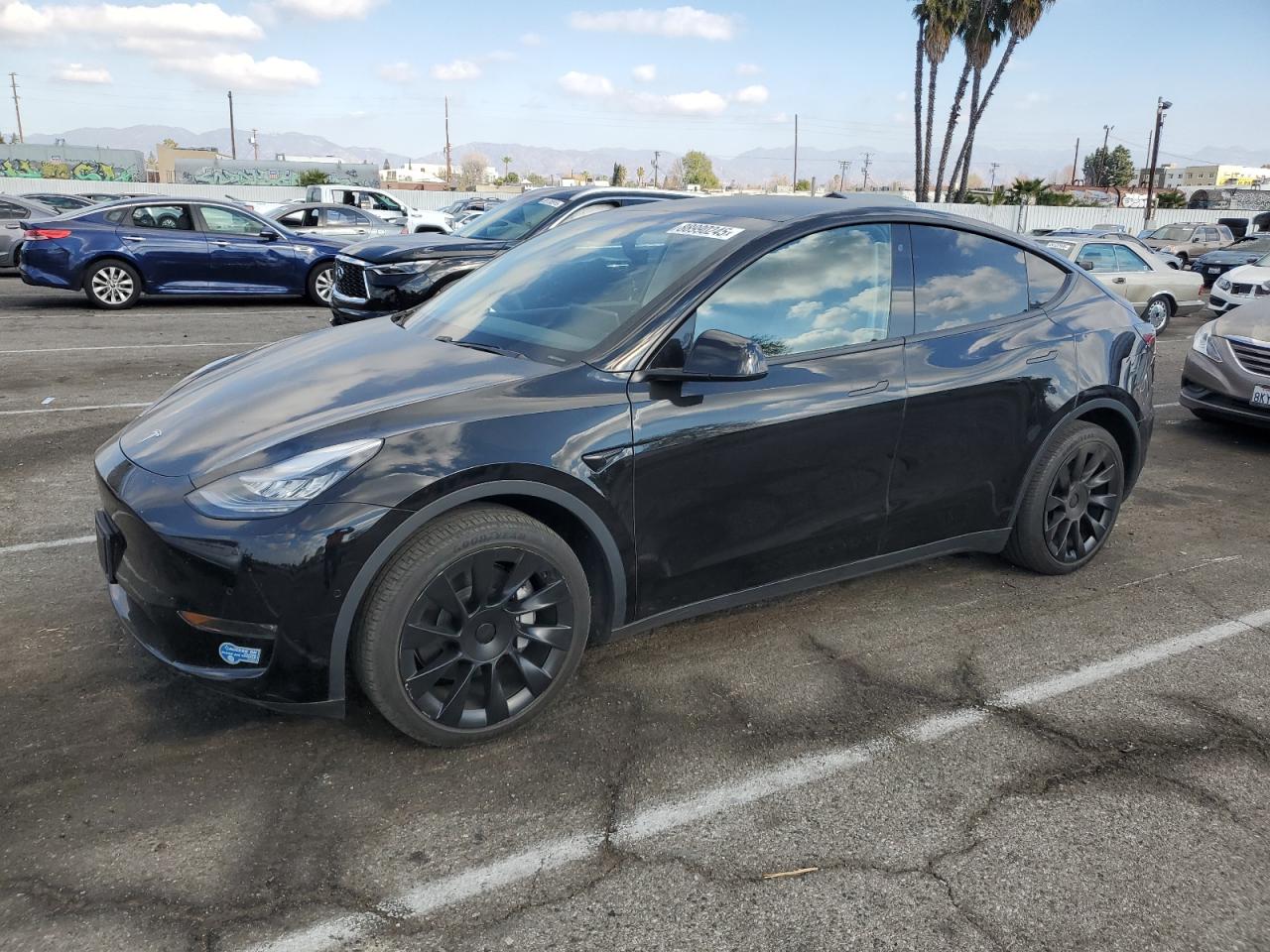 TESLA MODEL Y 2020