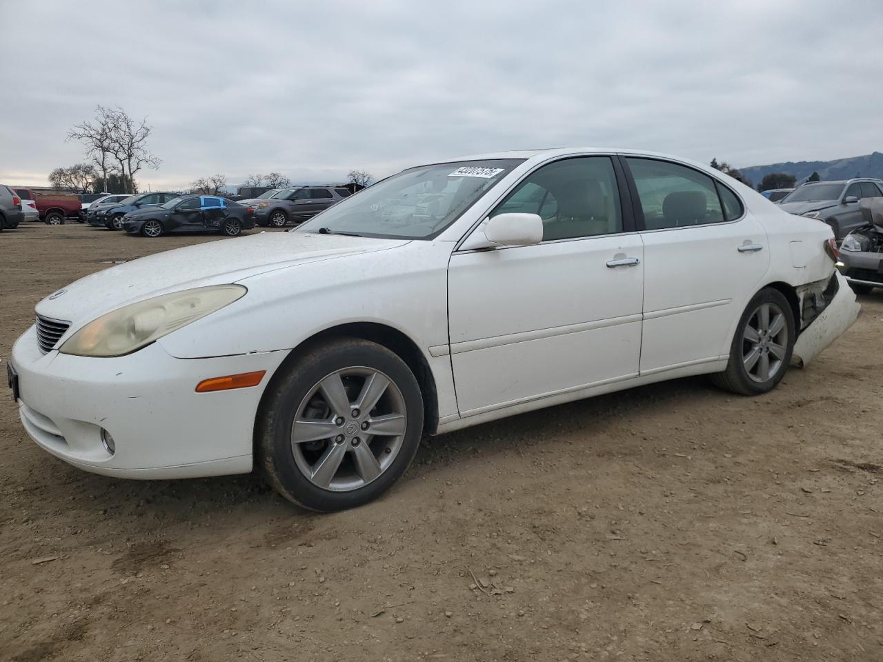 LEXUS ES 330 2005