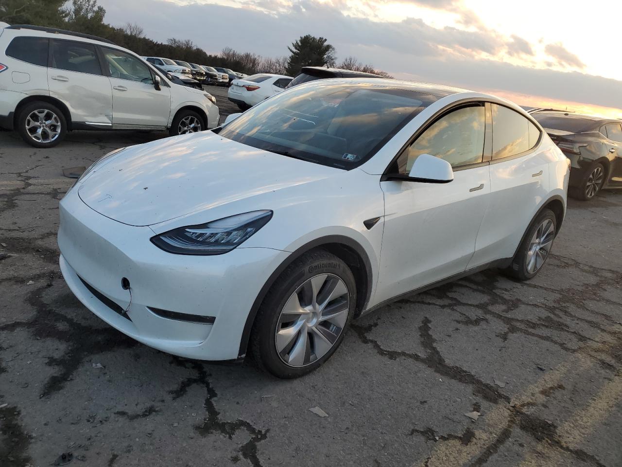 TESLA MODEL Y 2023