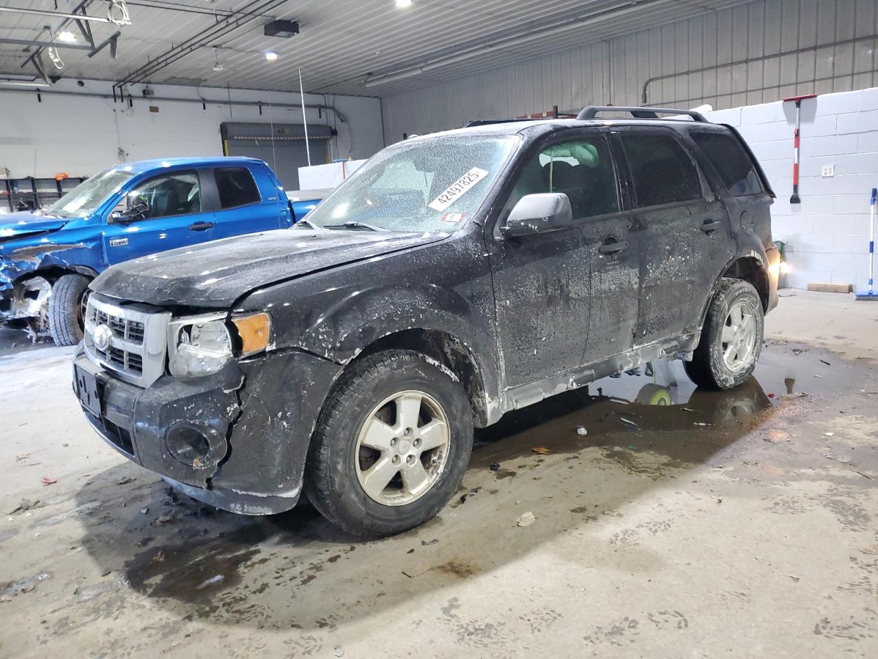 FORD ESCAPE XLT 2011