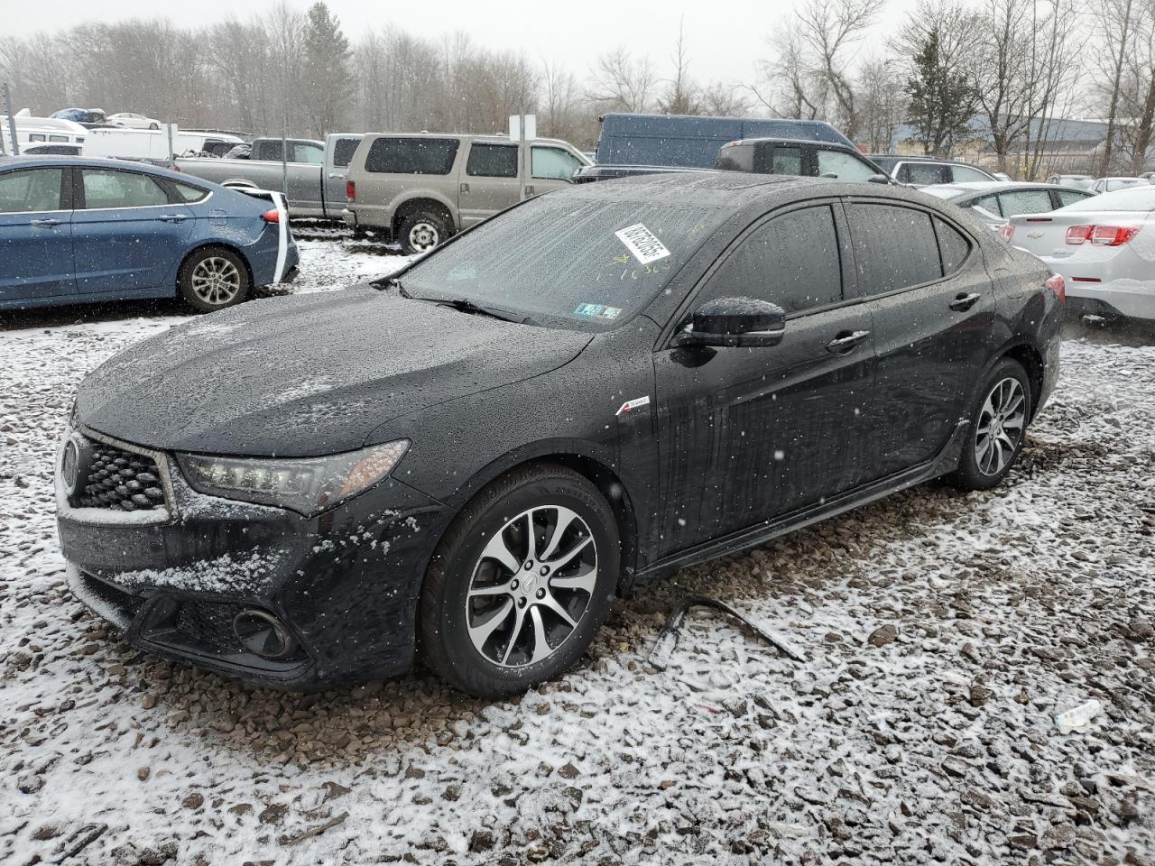 ACURA TLX TECHNO 2019