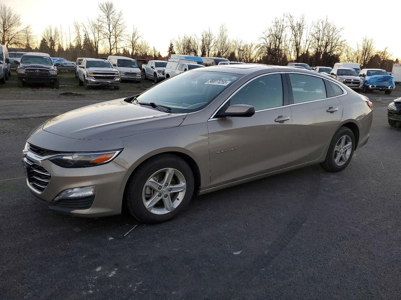 CHEVROLET MALIBU 2024