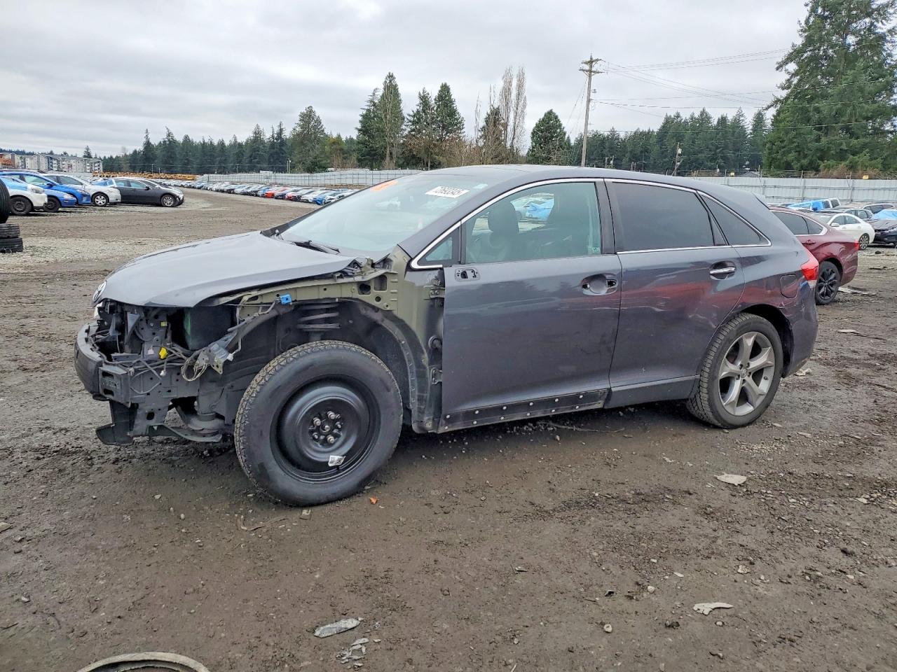 TOYOTA VENZA 2009