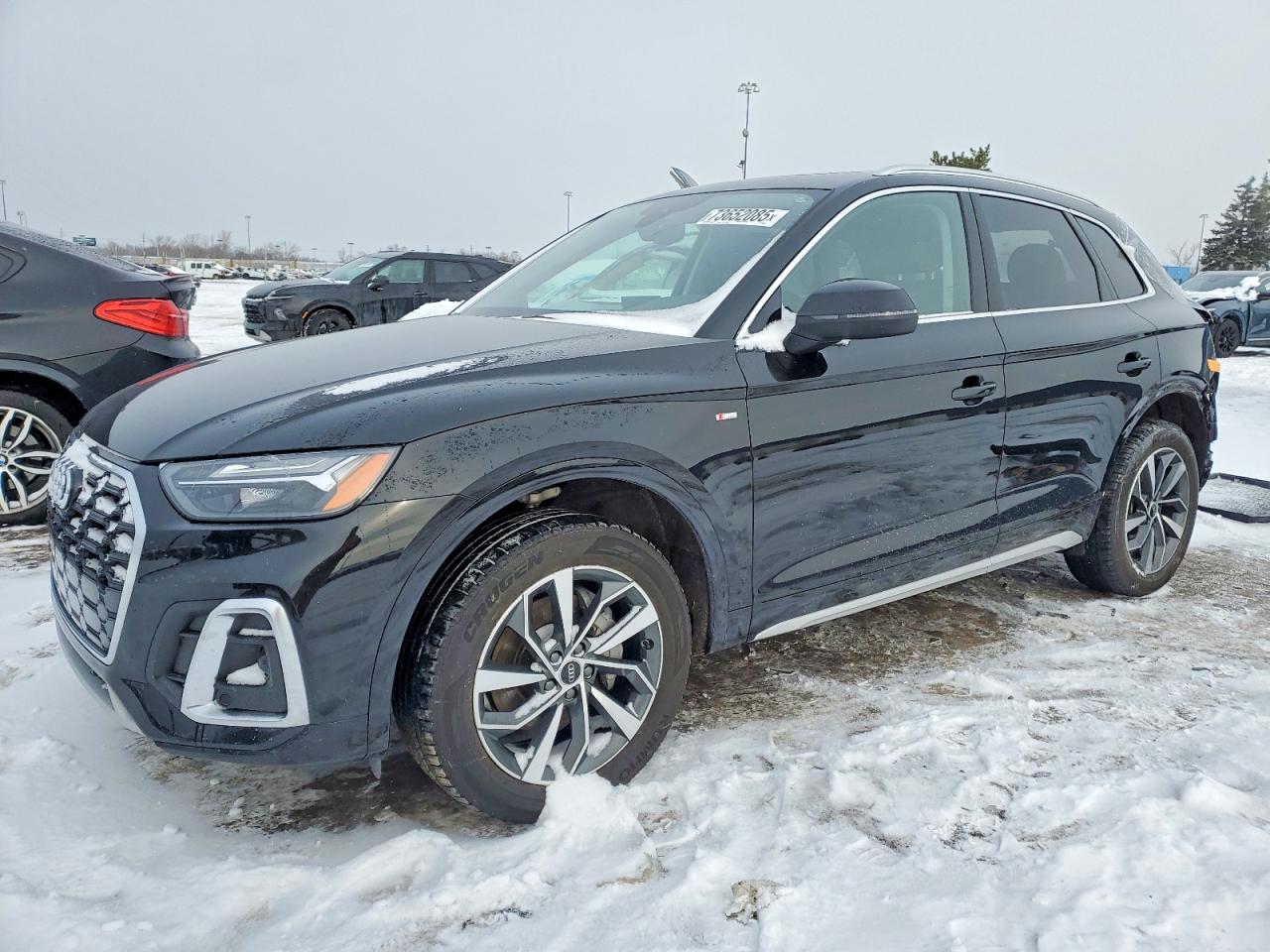 AUDI Q5 2024