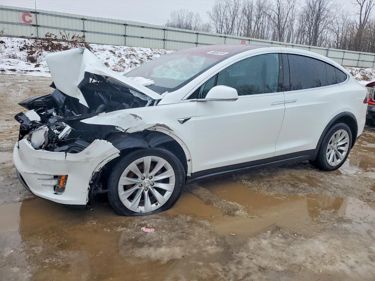 TESLA MODEL X 2020