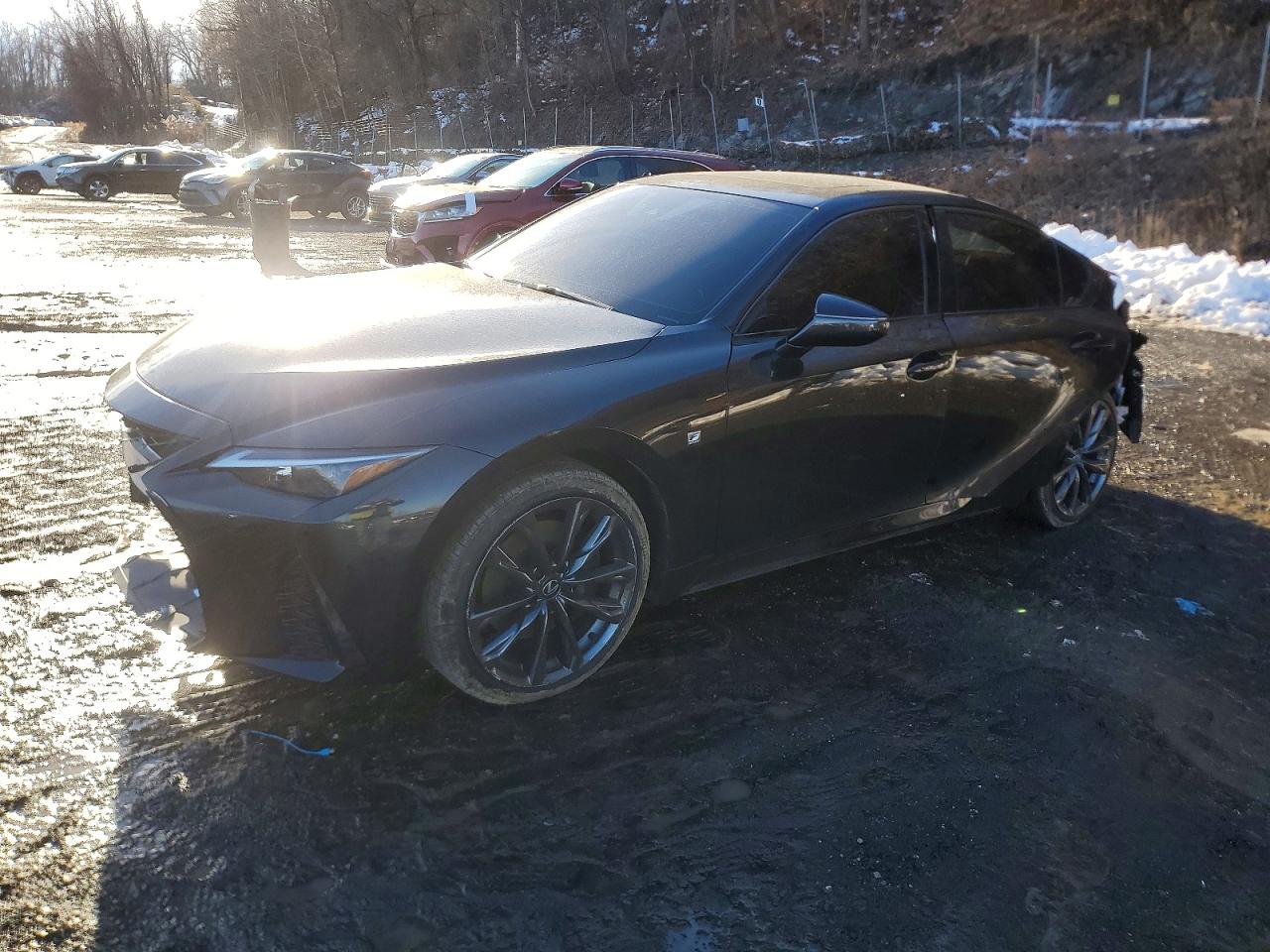 LEXUS IS 2025