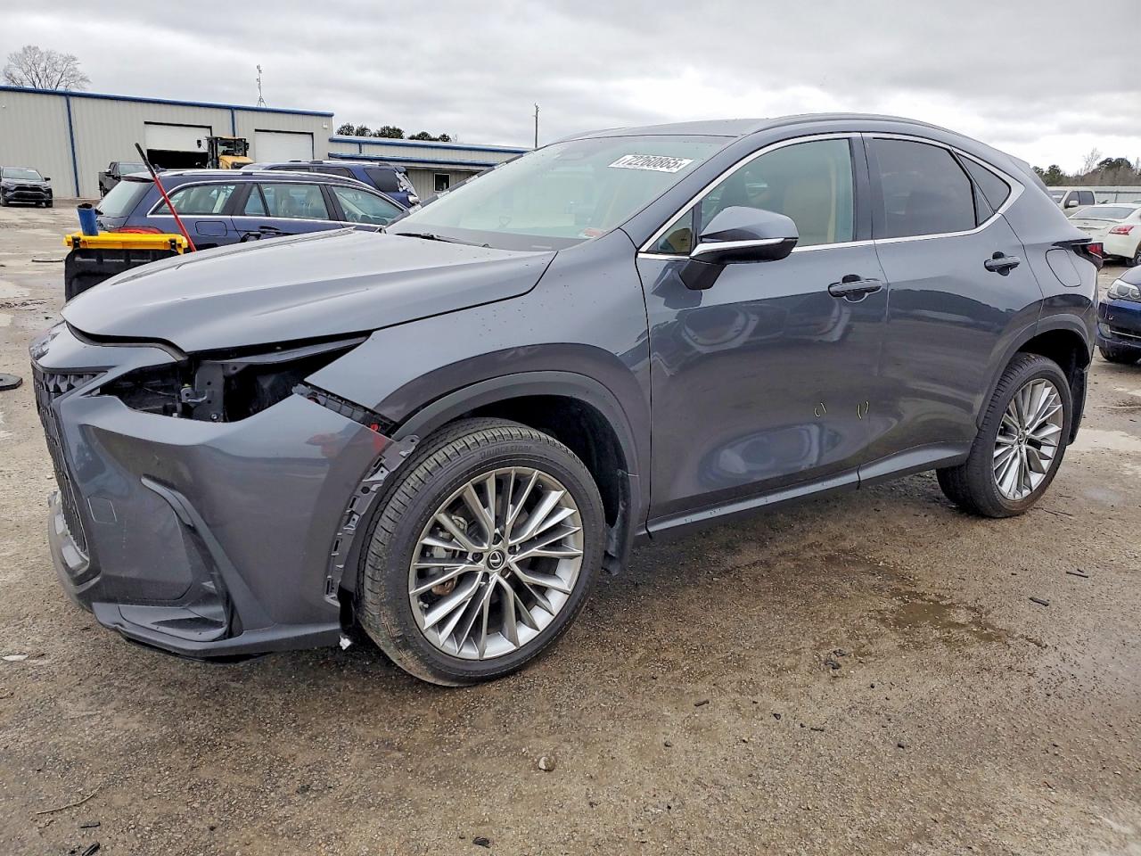 LEXUS NX 2023