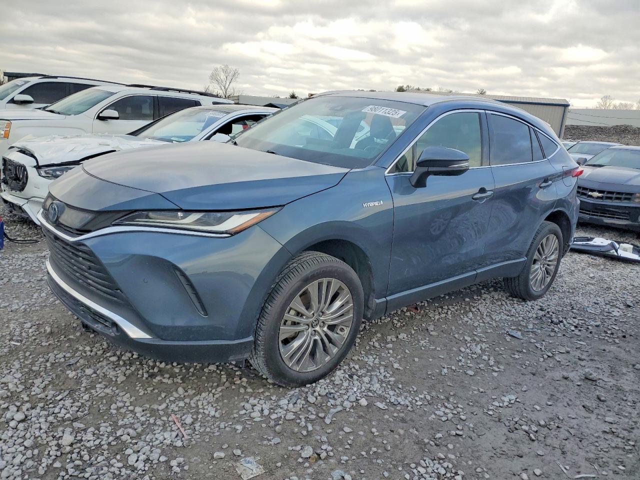TOYOTA VENZA LE 2021