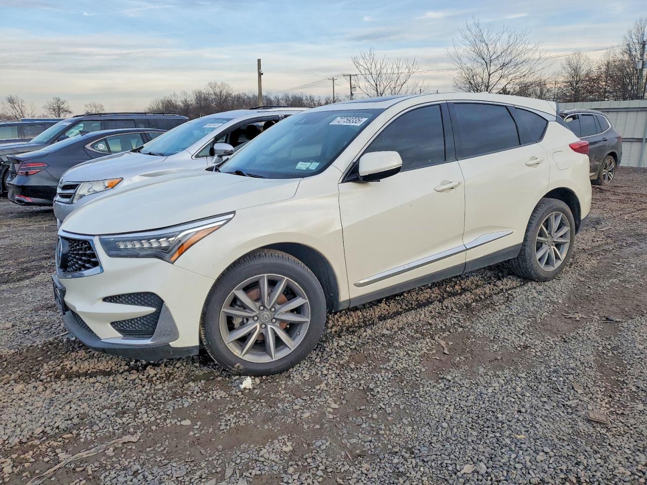 ACURA RDX TECHNO 2019