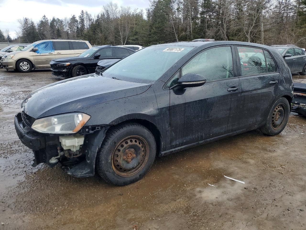 VOLKSWAGEN GOLF 2017