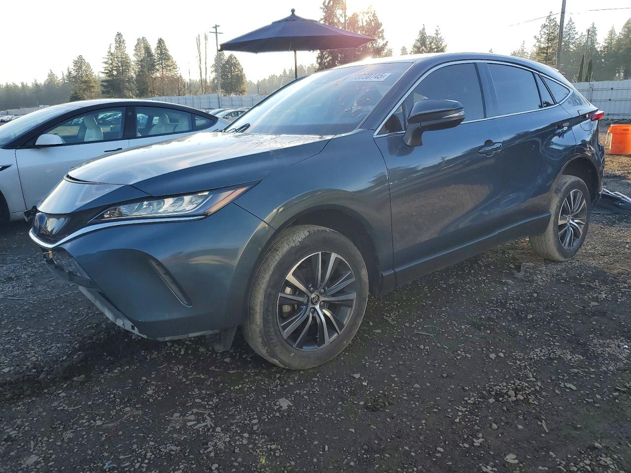 TOYOTA VENZA 2022
