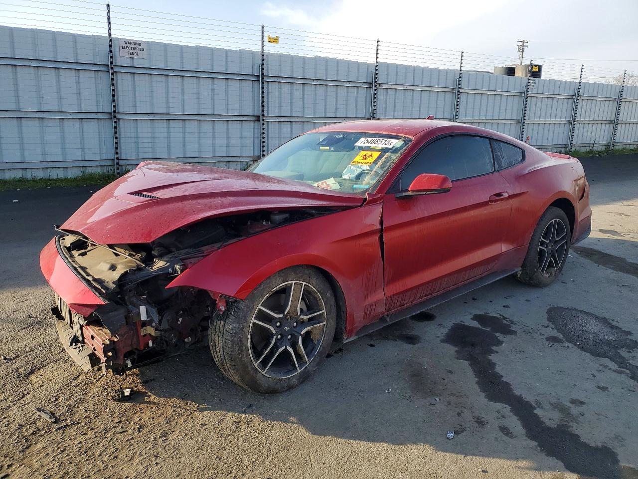 FORD MUSTANG 2021
