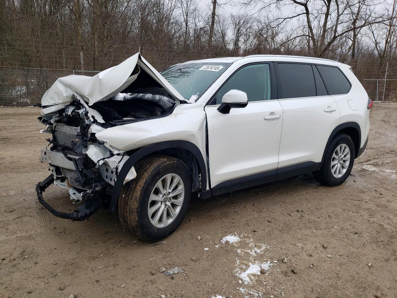 TOYOTA GRAND HIGHLANDER 2024