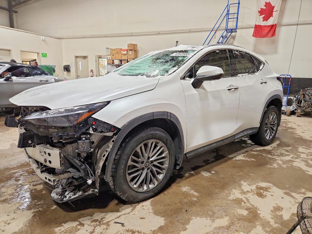 LEXUS NX 2024