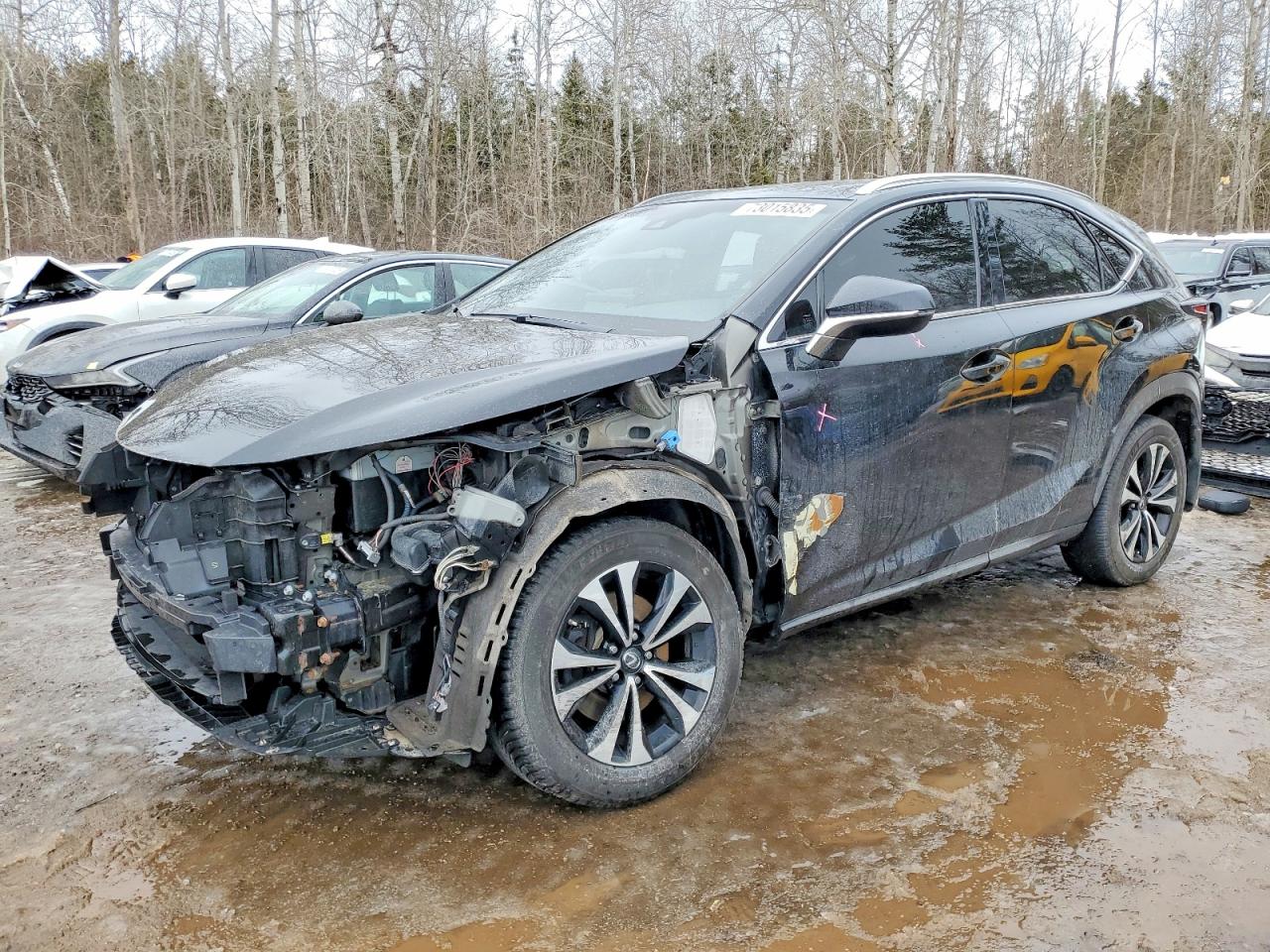 LEXUS NX 2018