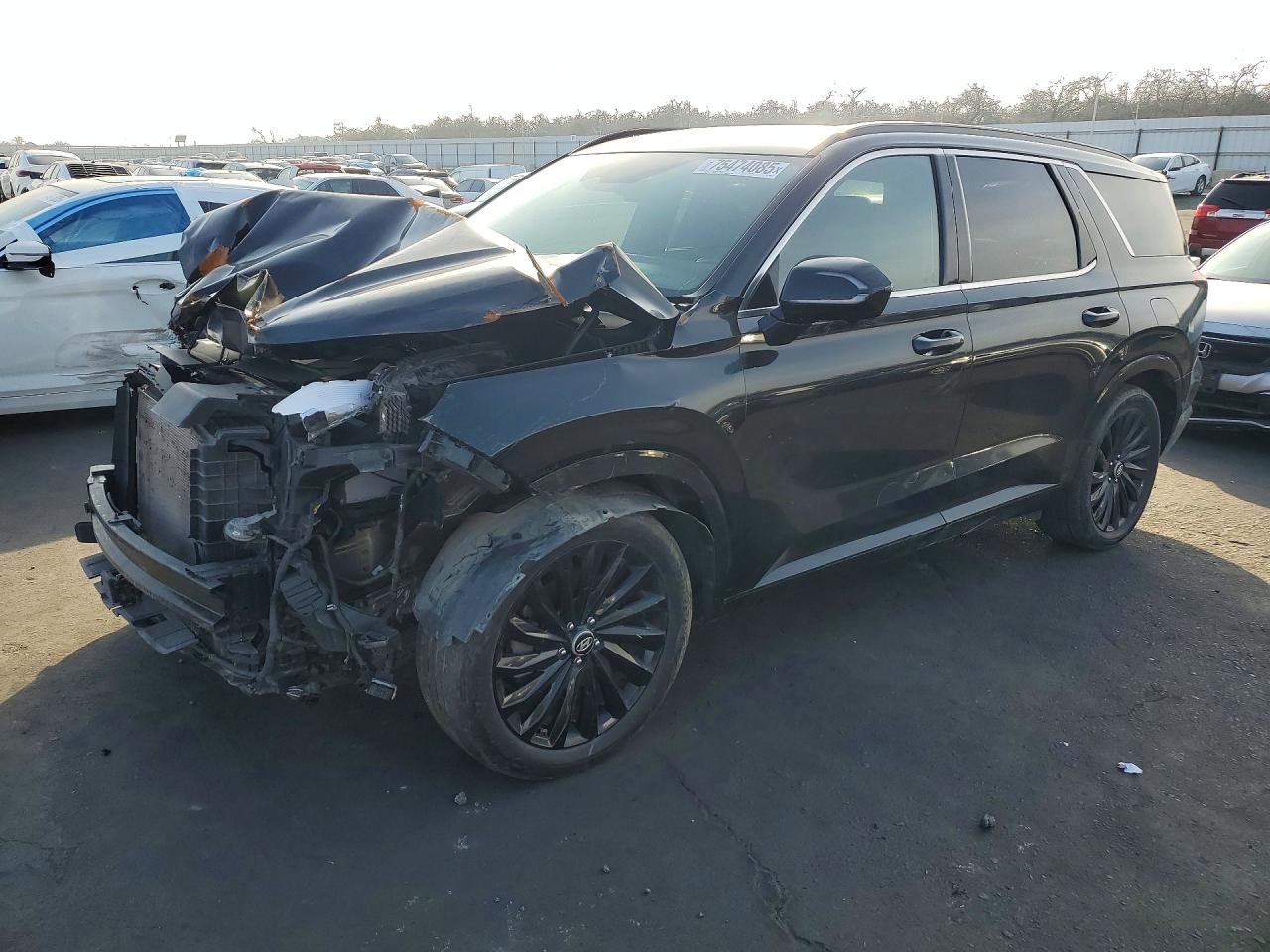 HYUNDAI PALISADE 2024