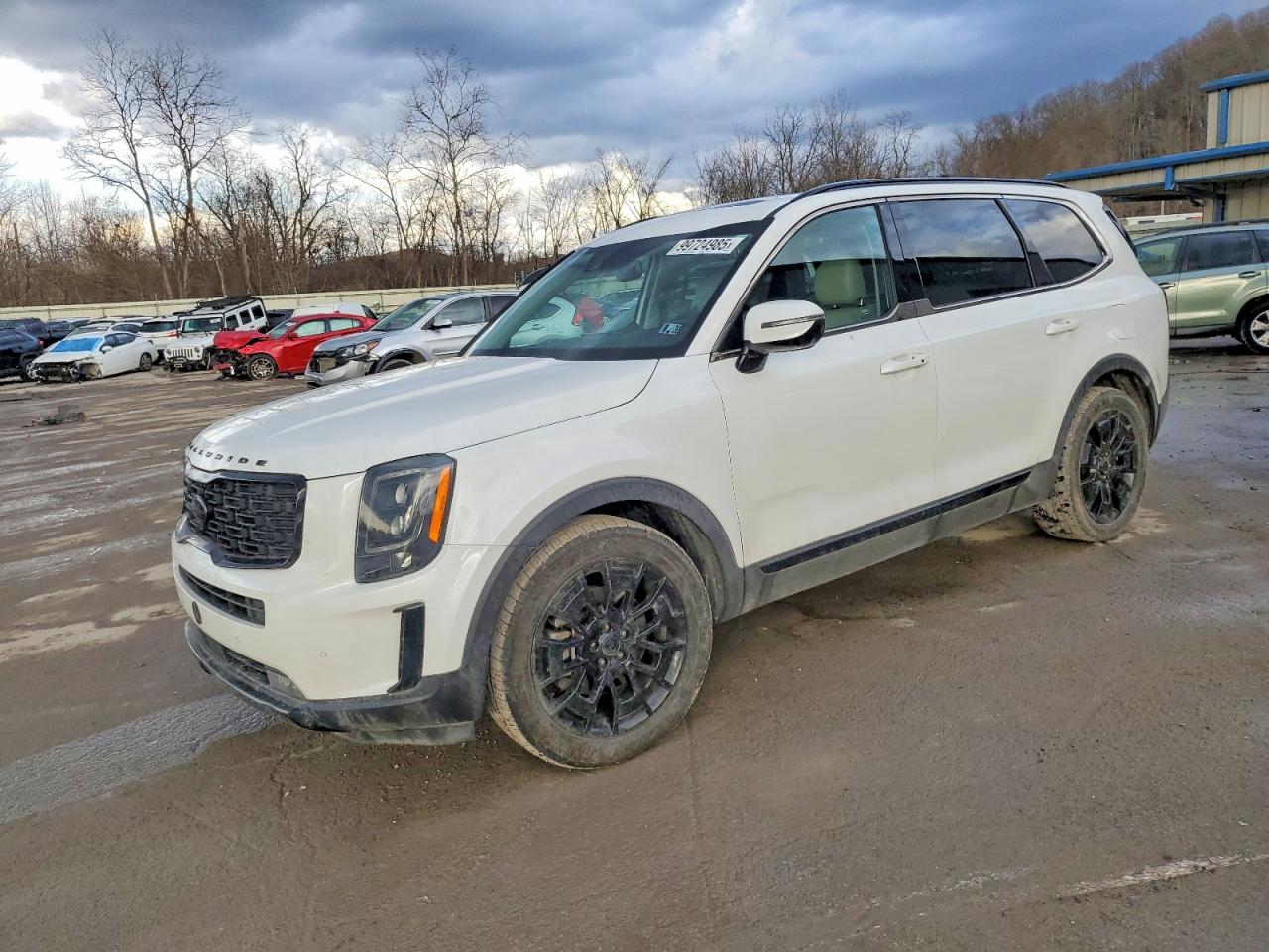 KIA TELLURIDE 2021