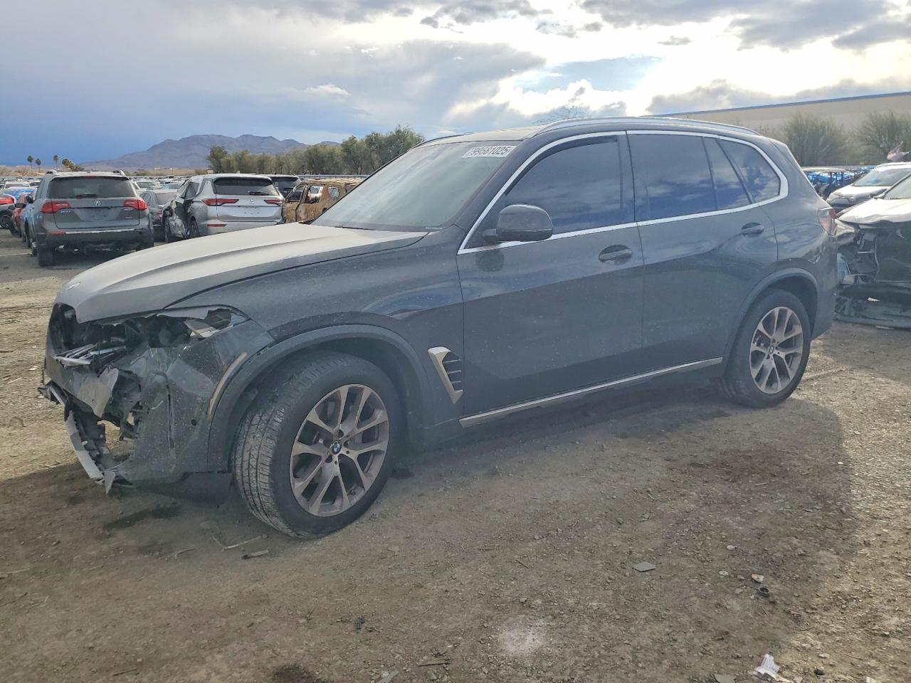 BMW X5 2024