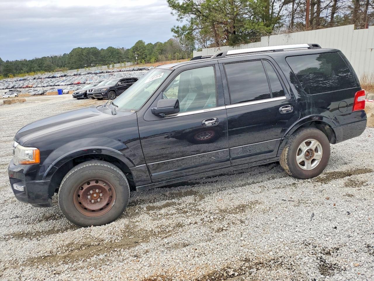 FORD EXPEDITION 2017