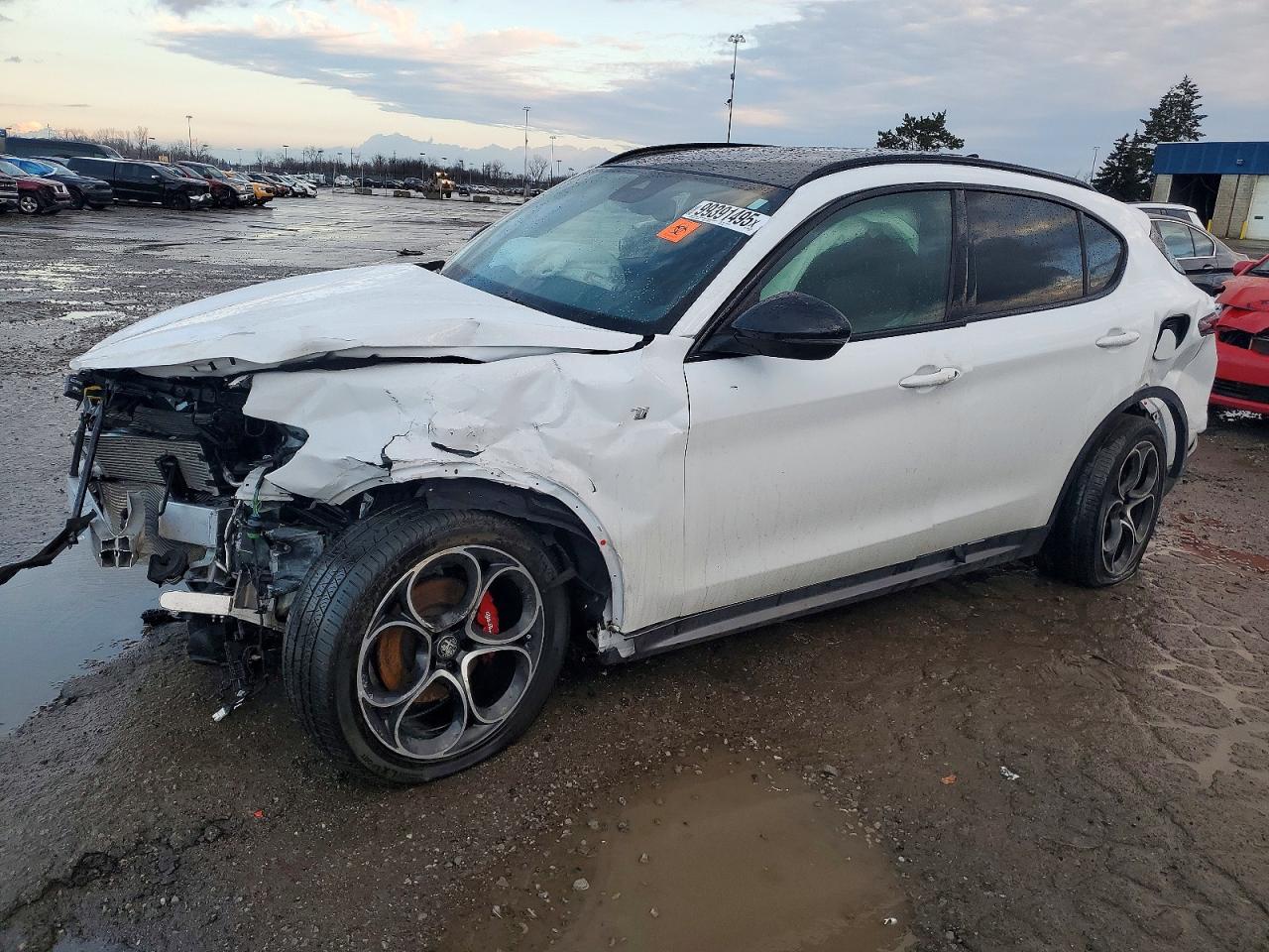 ALFA ROMEO STELVIO 2024