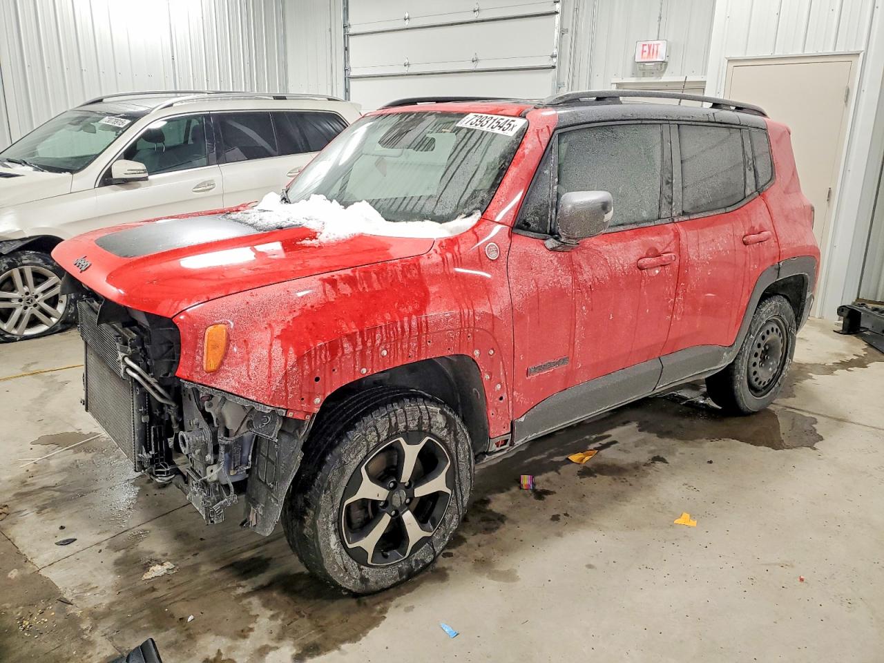 JEEP RENEGADE 2020
