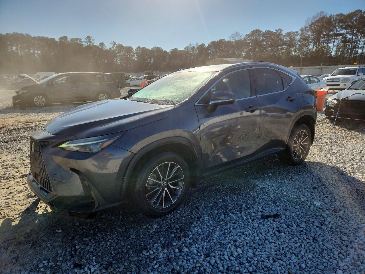 LEXUS NX 2022