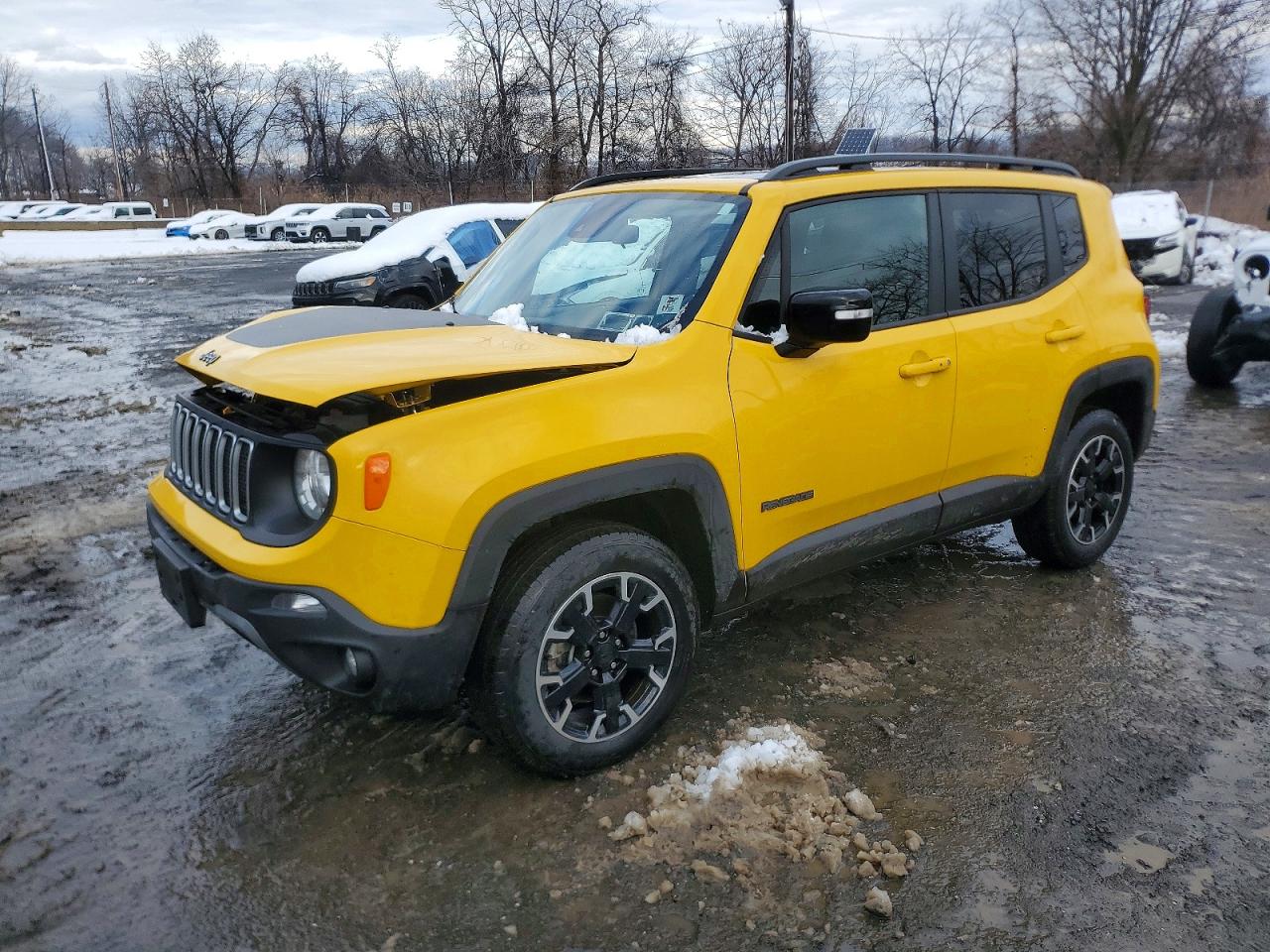 JEEP RENEGADE 2023