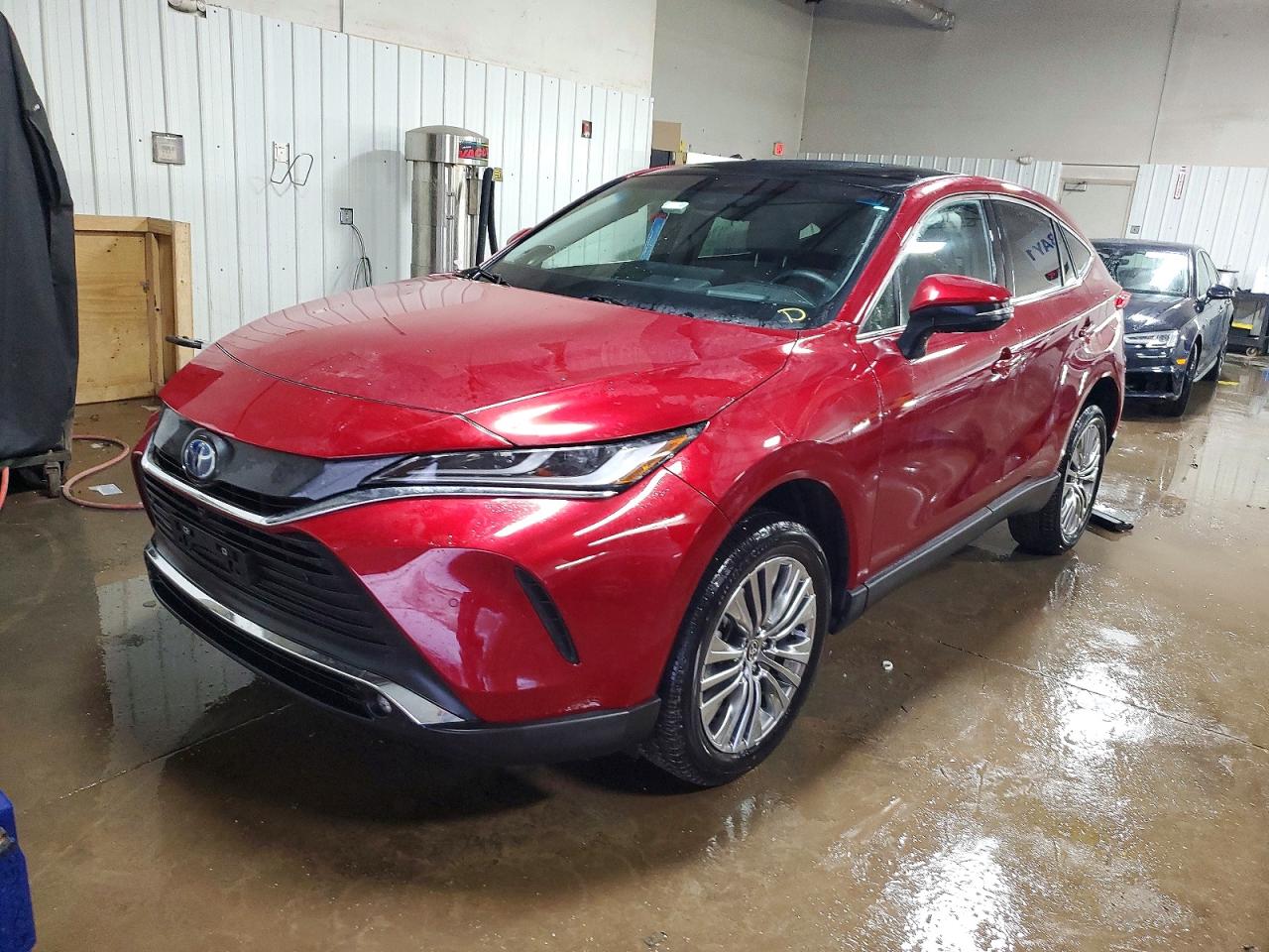 TOYOTA VENZA 2024