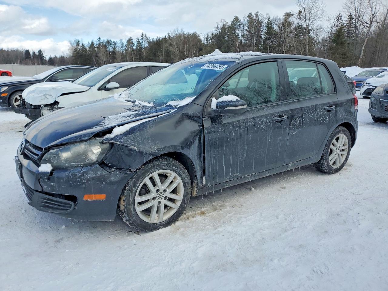 VOLKSWAGEN GOLF 2010