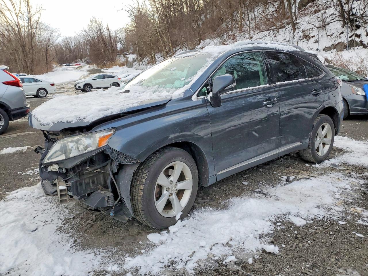 LEXUS RX 2010