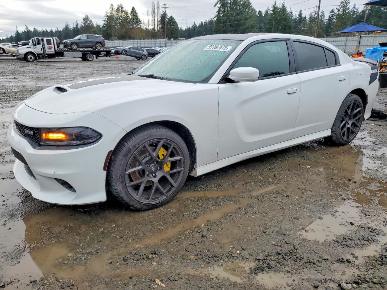 DODGE CHARGER R/ 2017