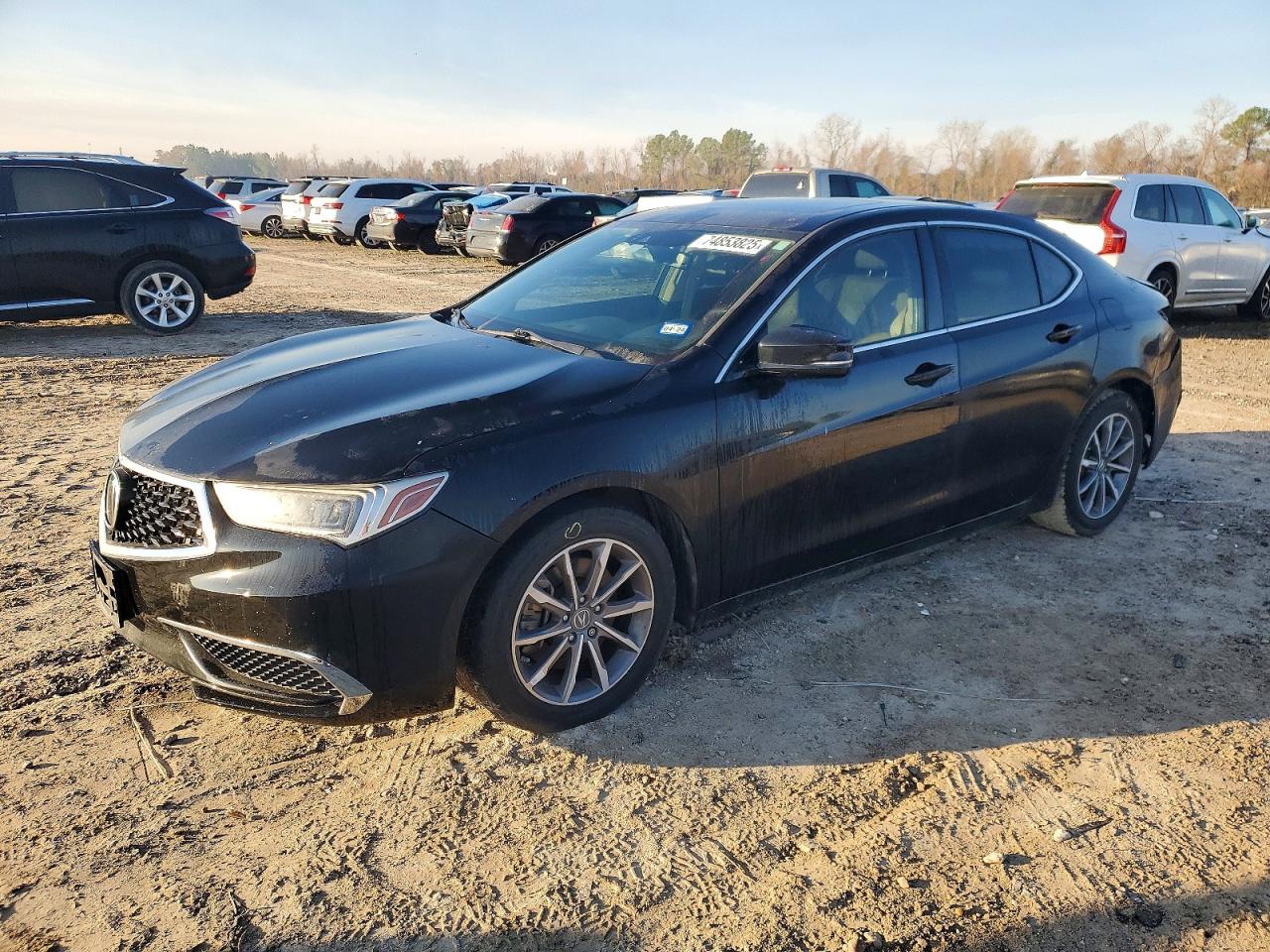 ACURA TLX 2019