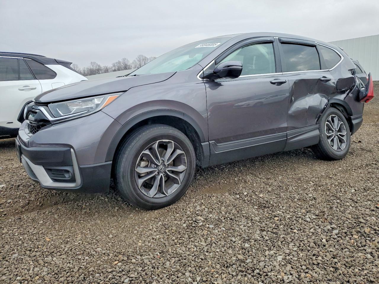 HONDA CR-V 2022