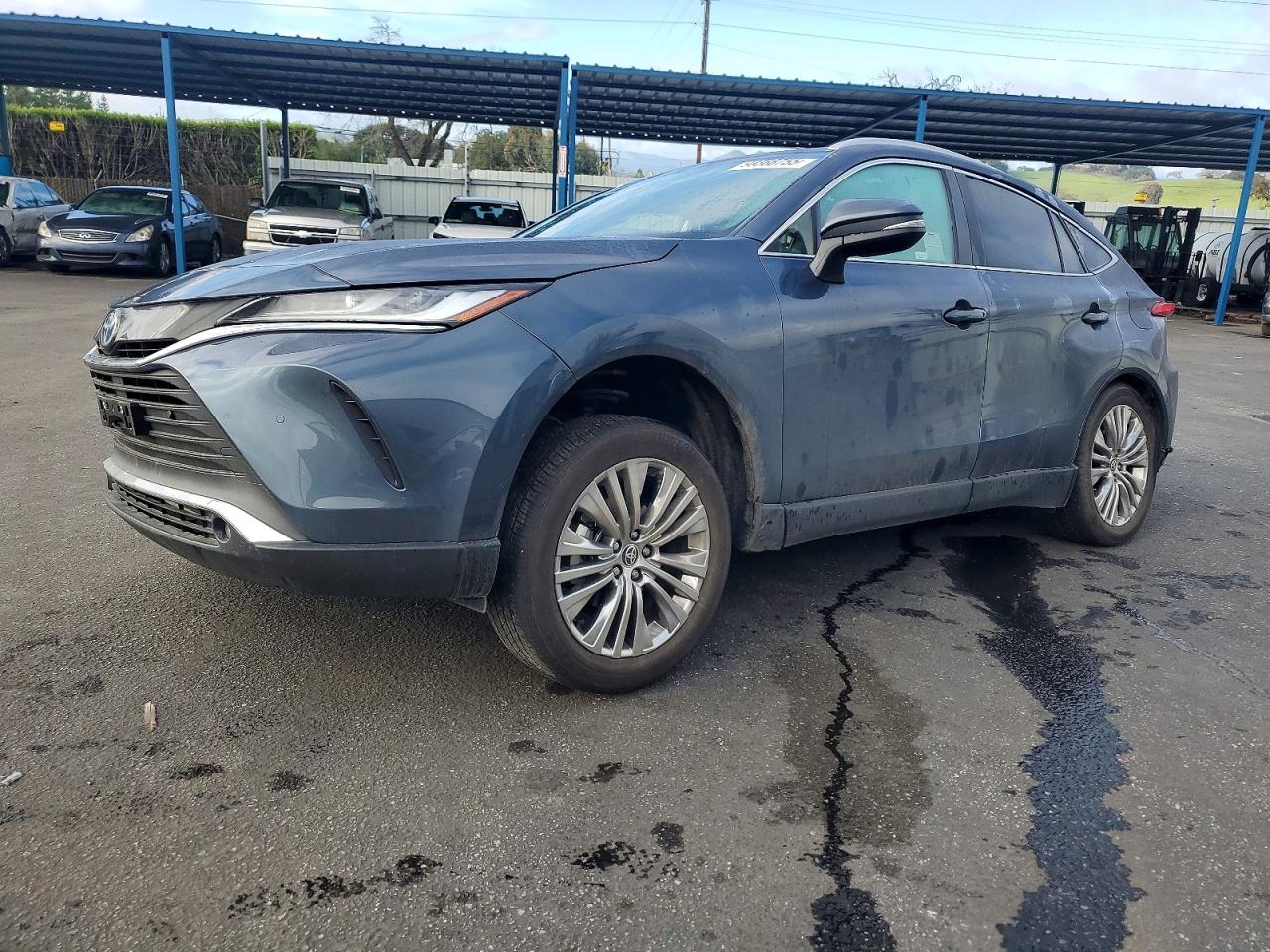 TOYOTA VENZA LE 2024