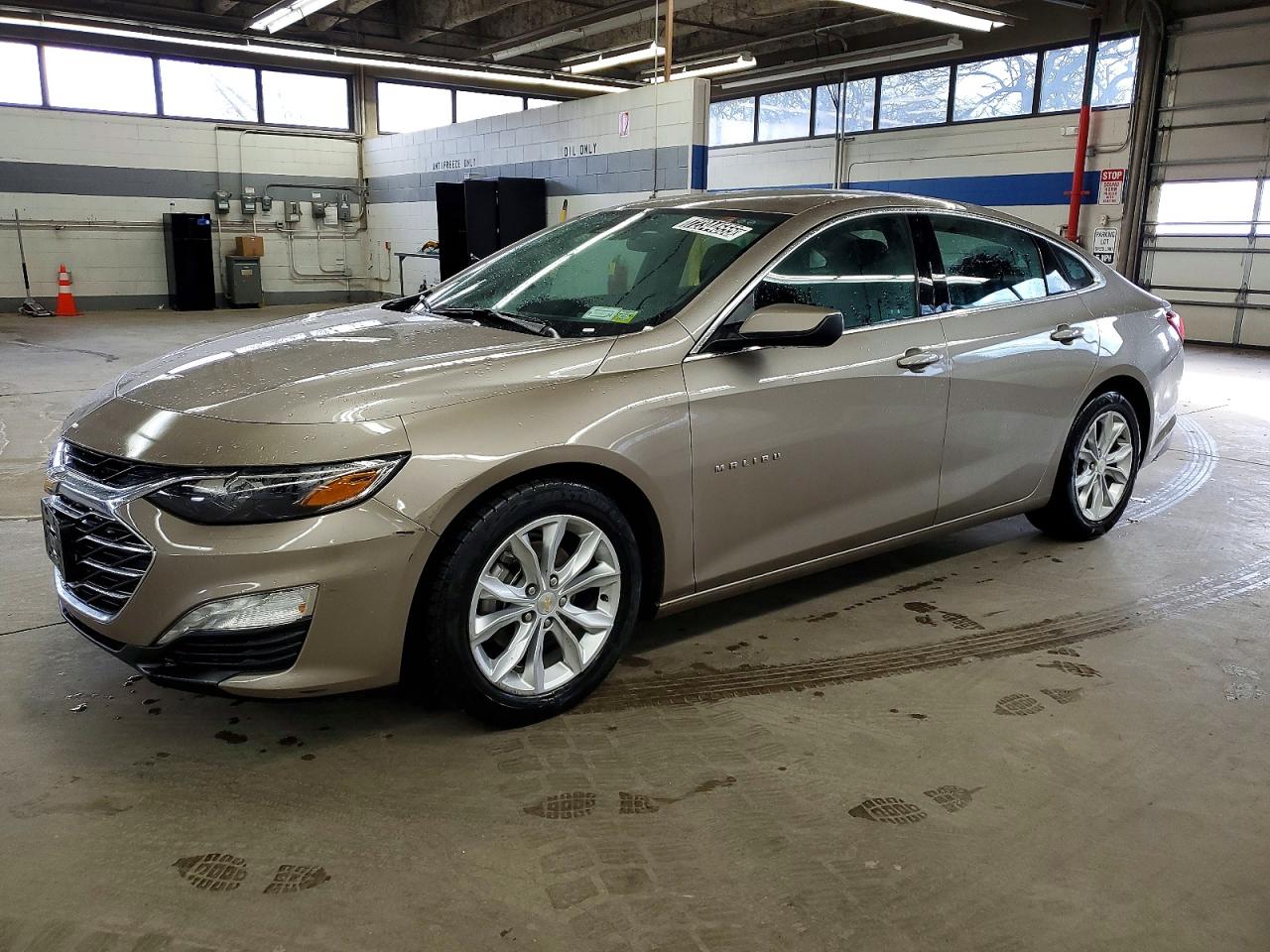 CHEVROLET MALIBU LT 2023