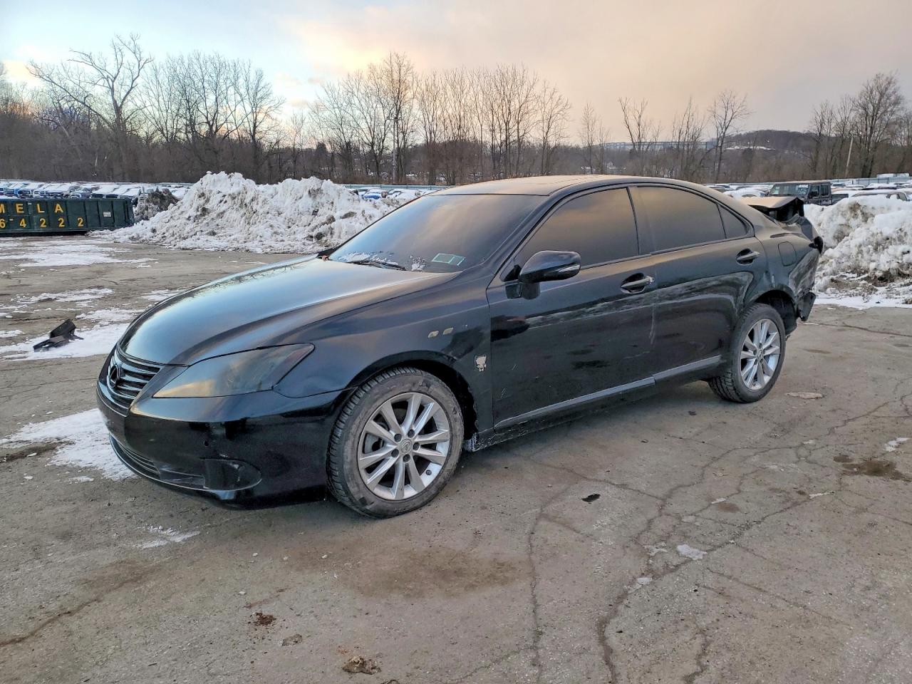 LEXUS ES 2010