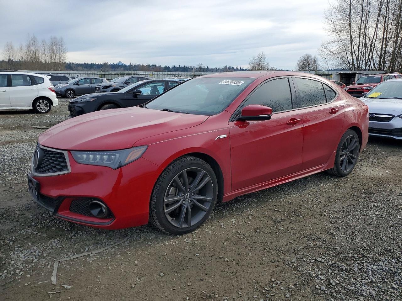 ACURA TLX 2019