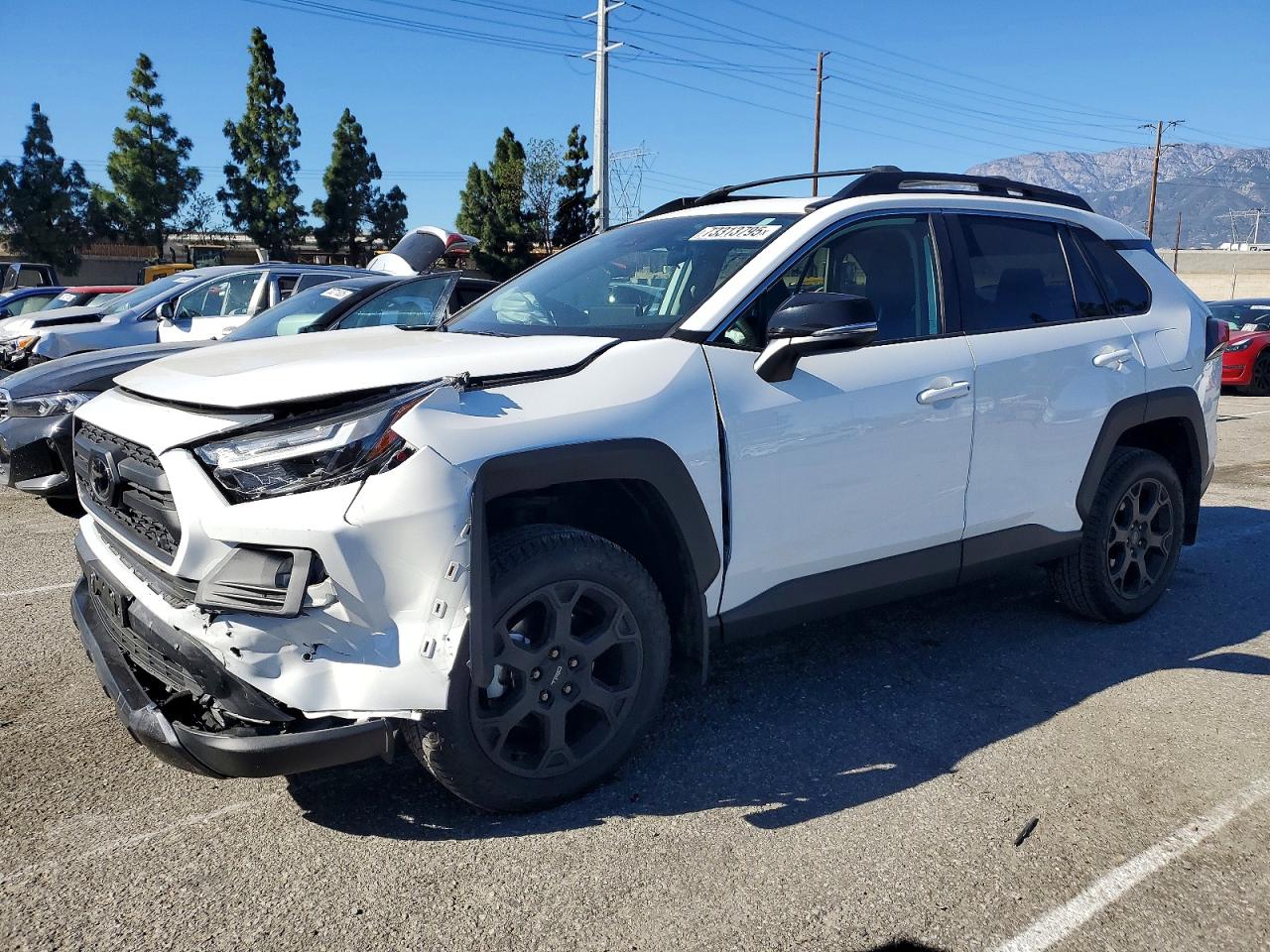 TOYOTA RAV4 2024