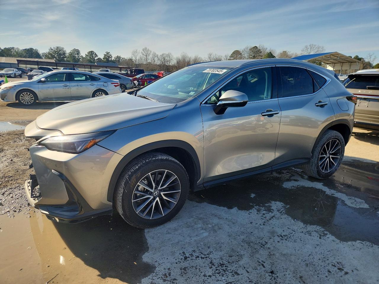 LEXUS NX 2024