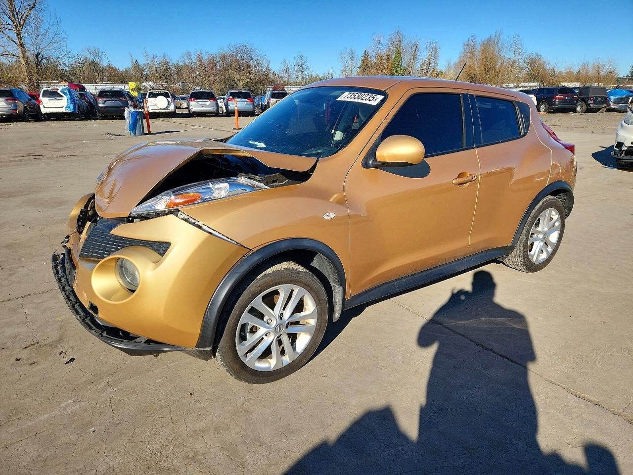 NISSAN JUKE 2013