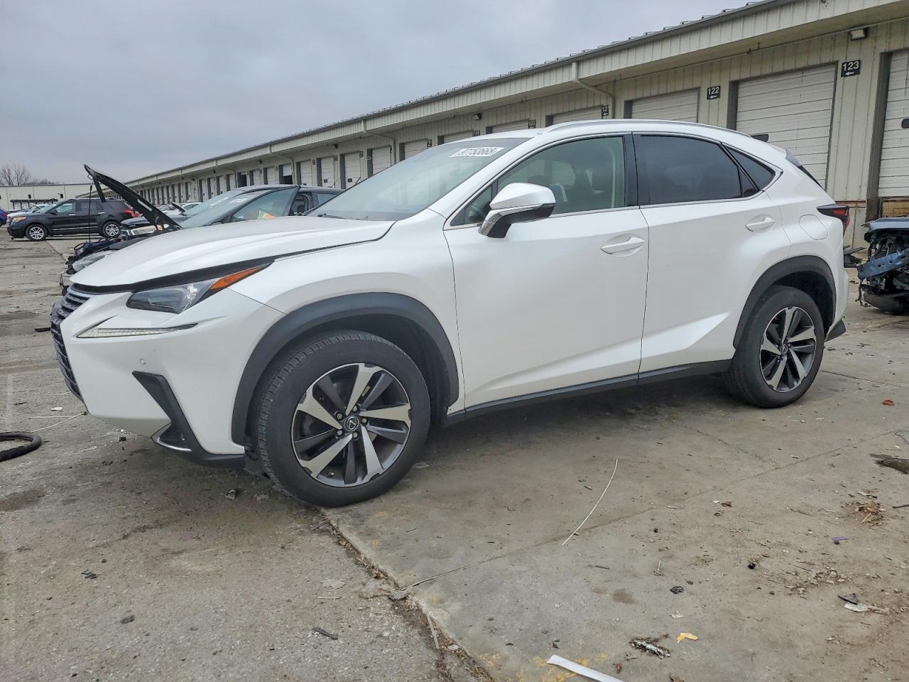 LEXUS NX 2018