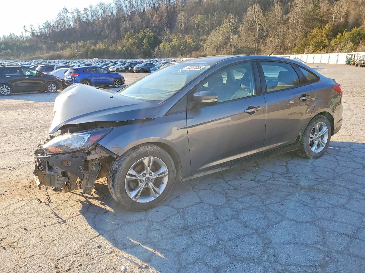 FORD FOCUS 2014