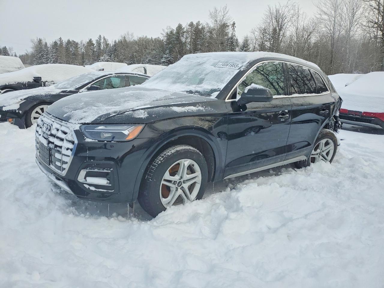AUDI Q5 2021