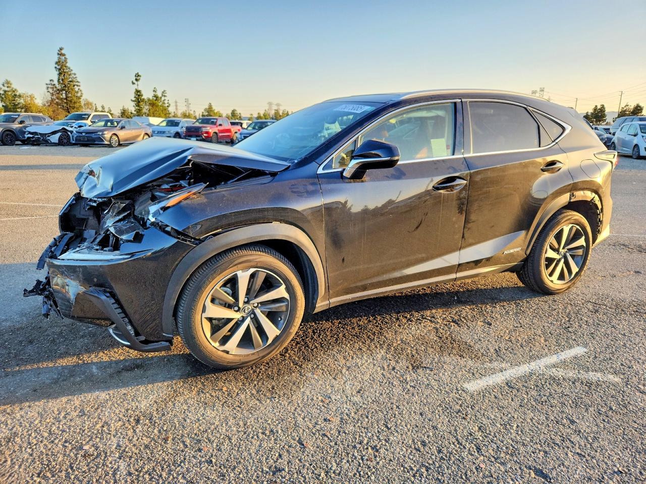 LEXUS NX 2020