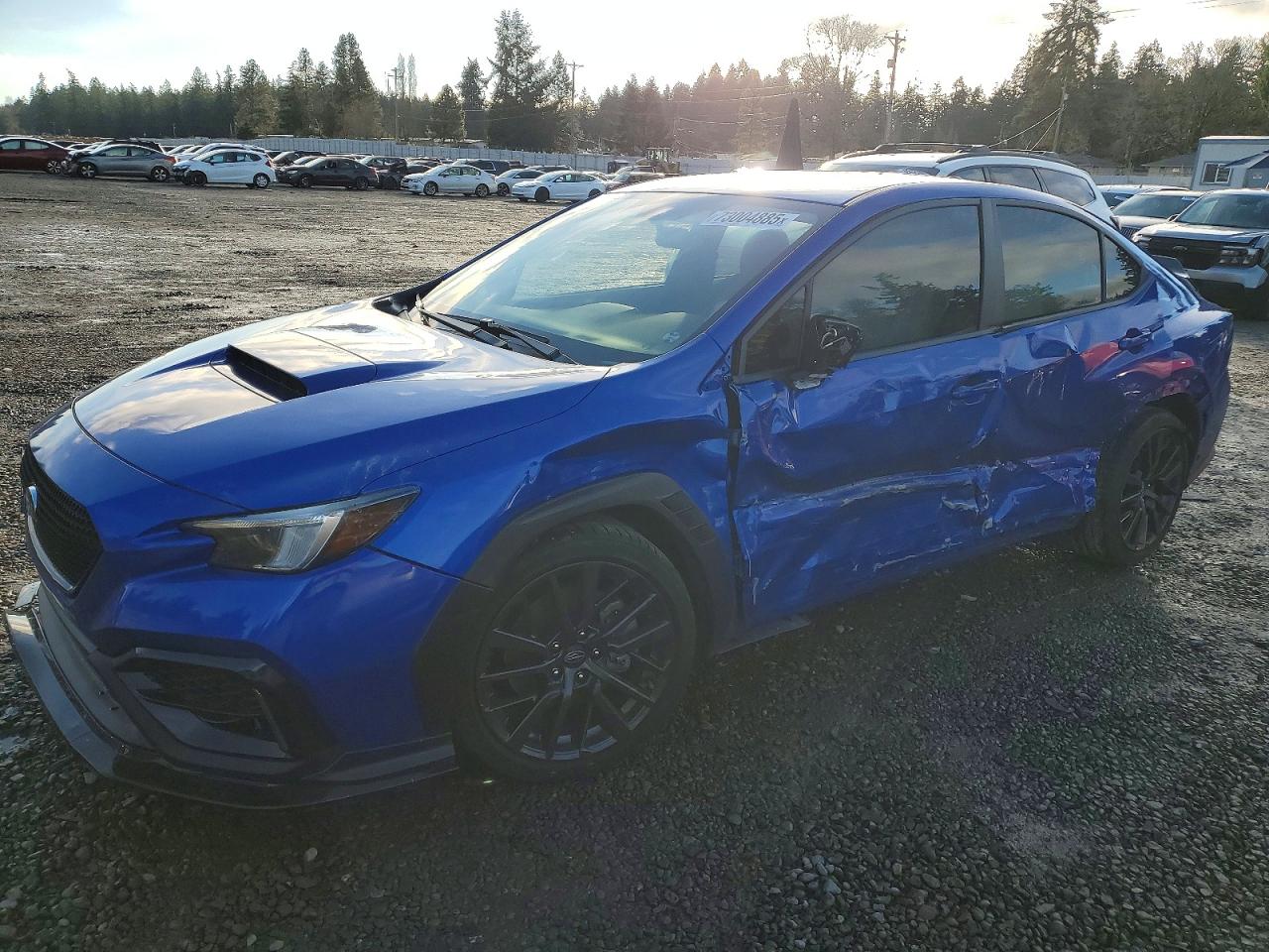 SUBARU WRX PREMIU 2024