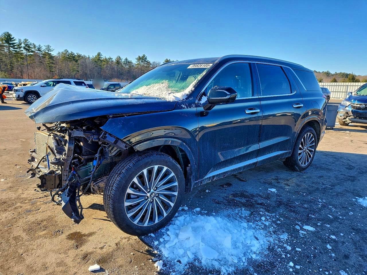 HYUNDAI PALISADE C 2024
