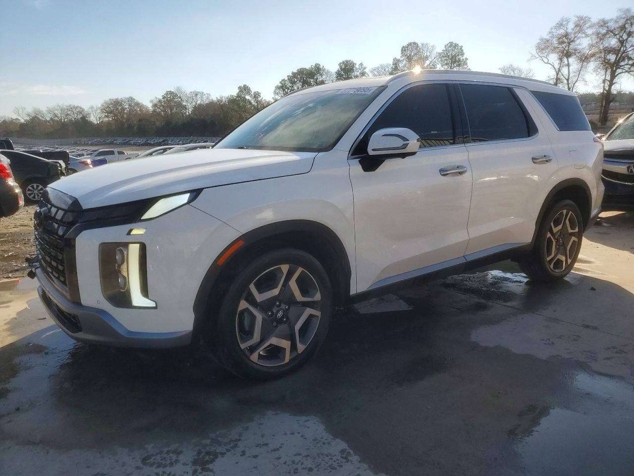 HYUNDAI PALISADE 2024
