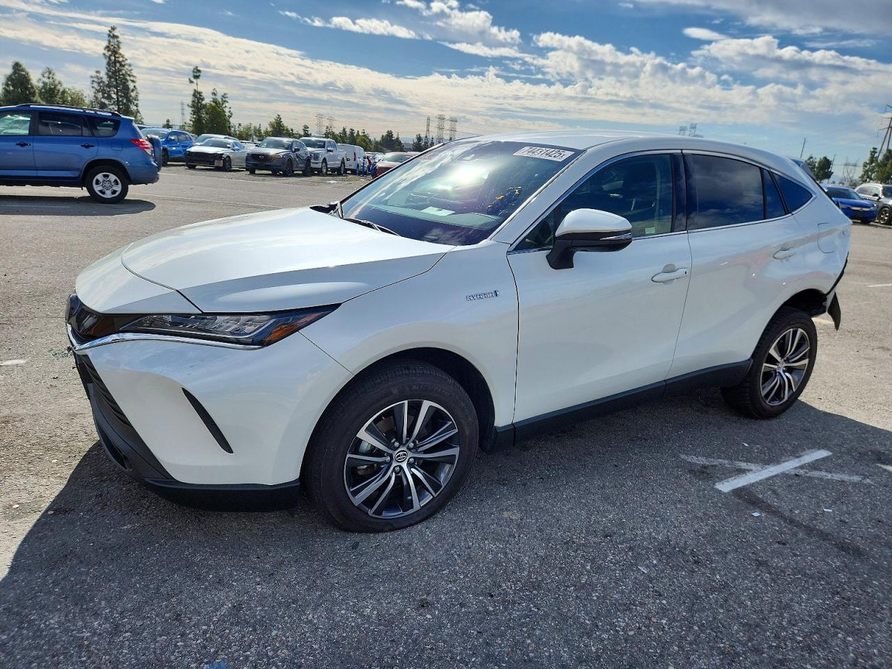 TOYOTA VENZA 2021